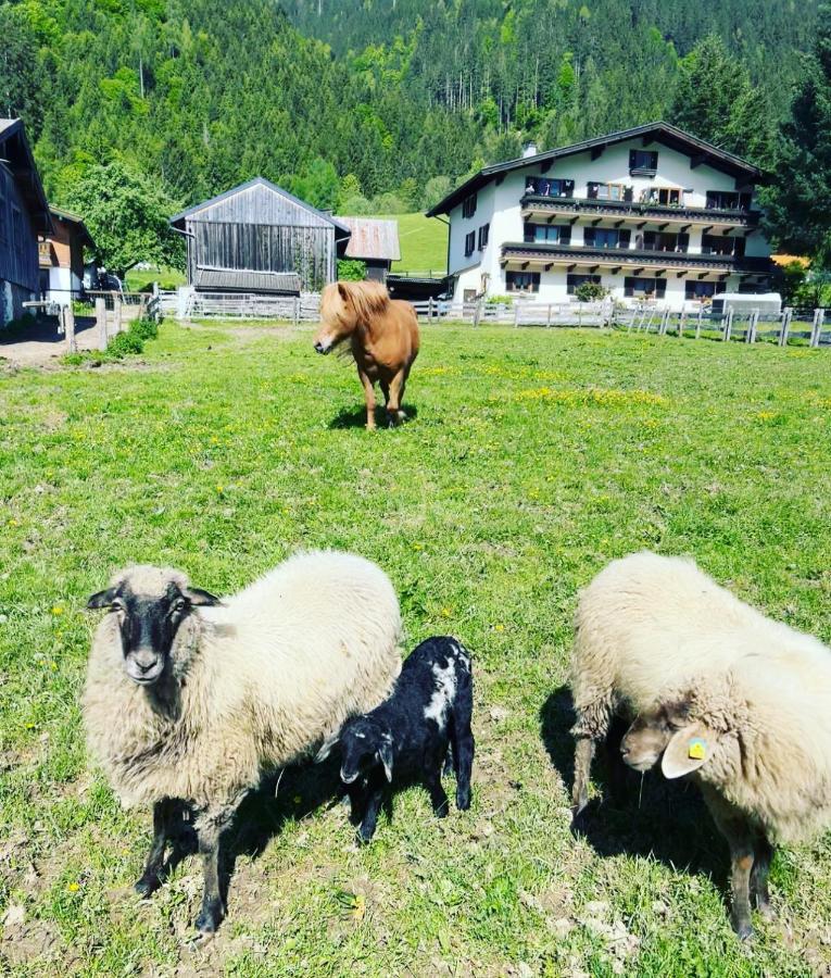 Hotel Hettlerhof Maishofen Zewnętrze zdjęcie